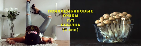 спиды Армянск