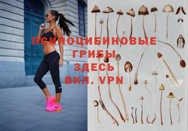 таблы Аркадак