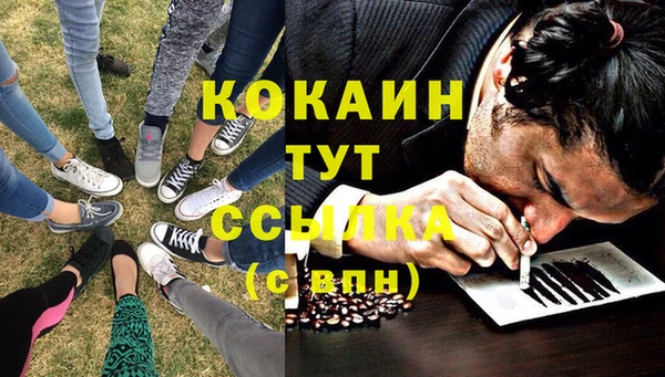 СК Арсеньев