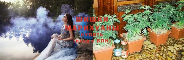 СК Арсеньев